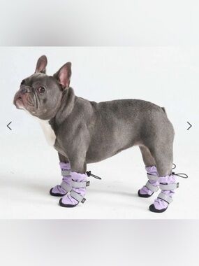 New Dog Rainboots, Waterproof Dog Shoes - Lilac Size 4